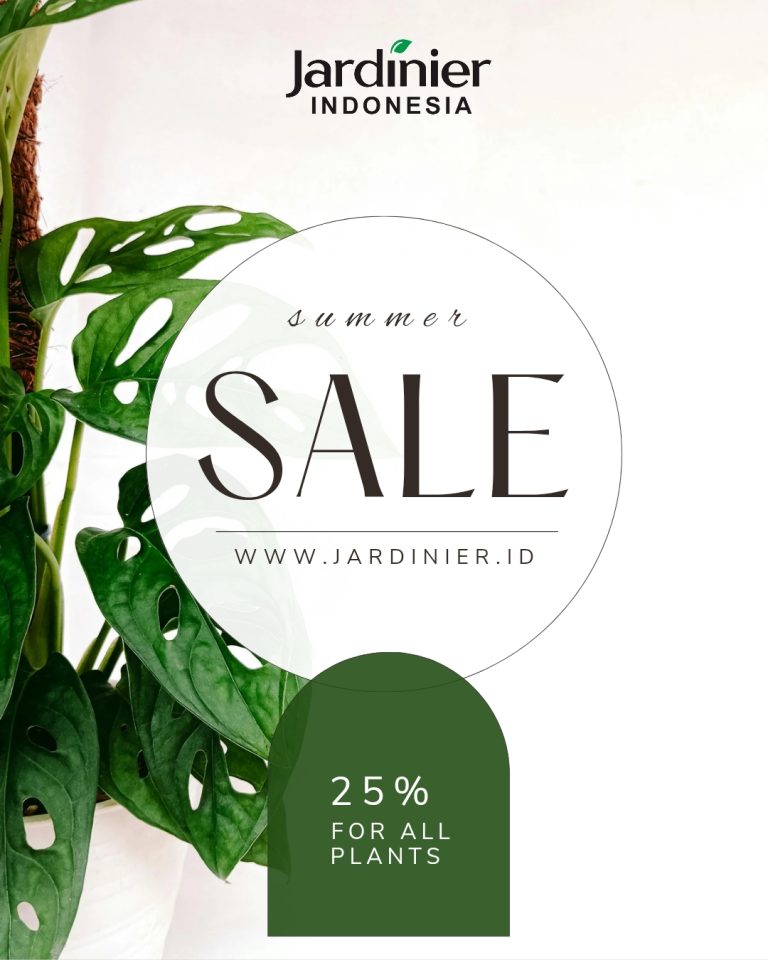 Promo Summer Sale 2025