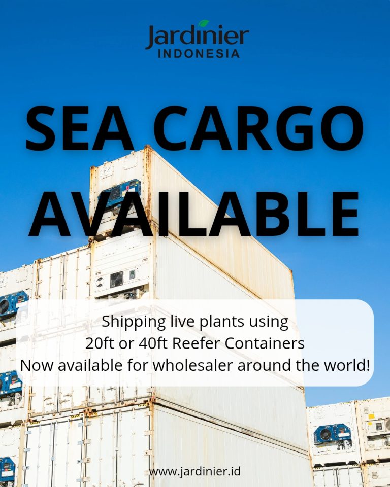 Sea Cargo